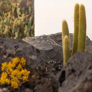 Casa Alice Playa Blanca (Lanzarote)